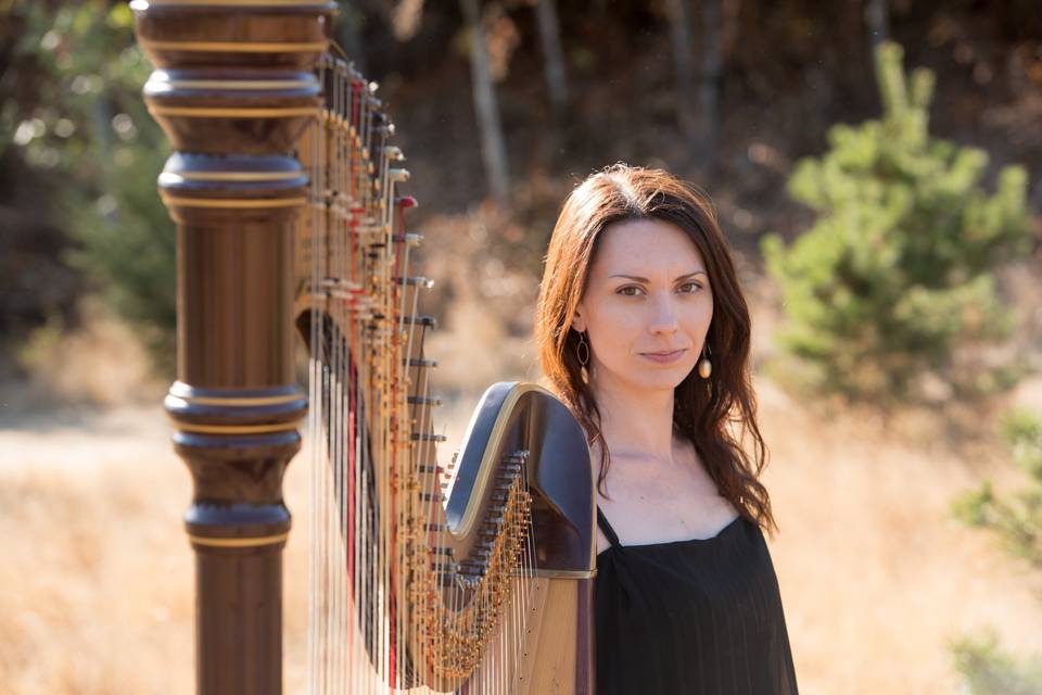 Lauren Grace Harpist