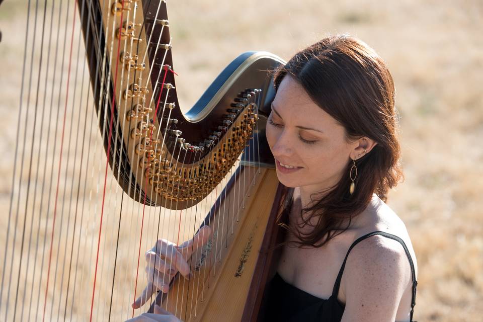 Lauren Grace Harpist