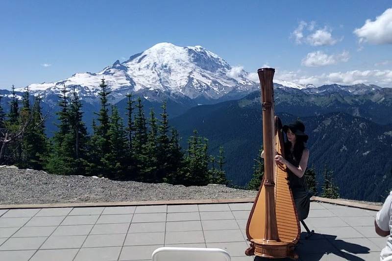 Crystal Mountain Wedding