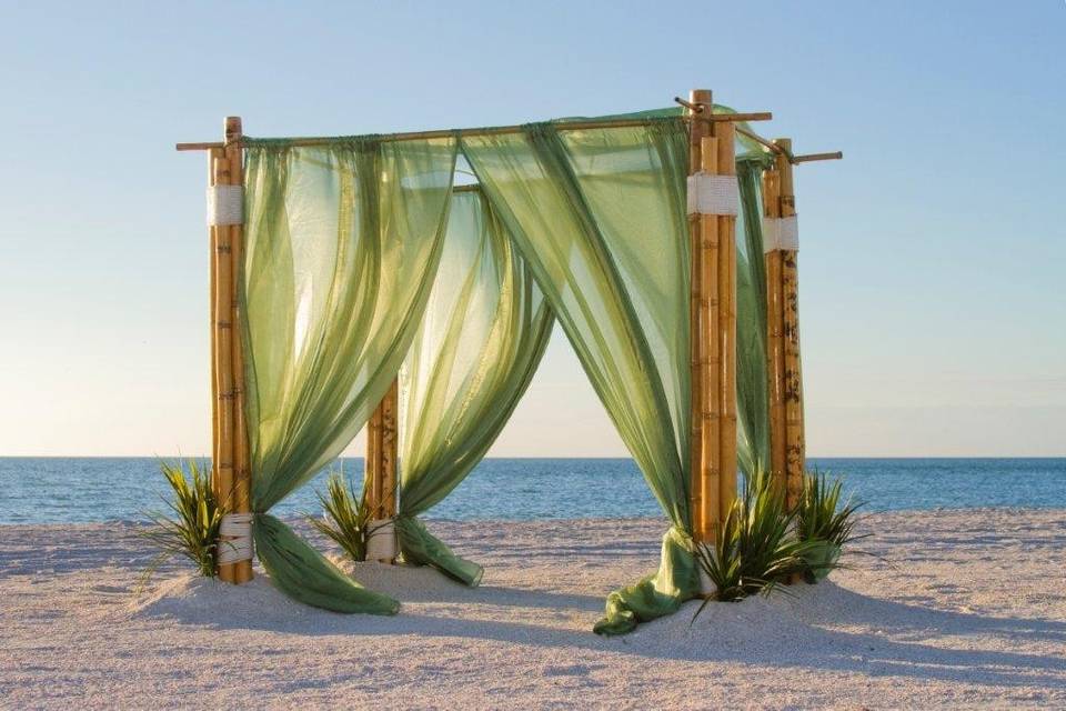 Bamboo outdoor arbor with moss  green organza sails embellished with seagrass and giant shells decor.