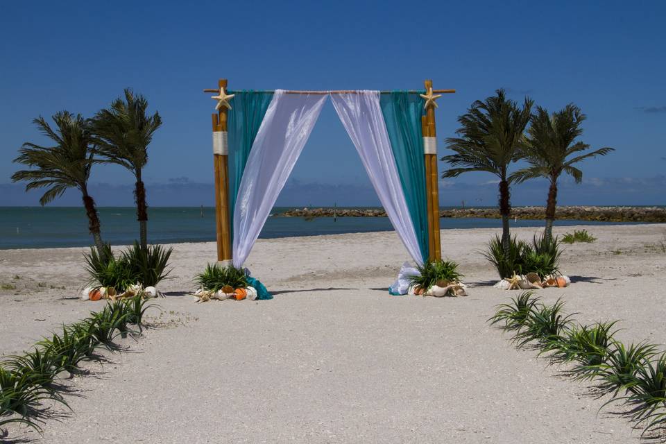 Beach Wedding w/palms