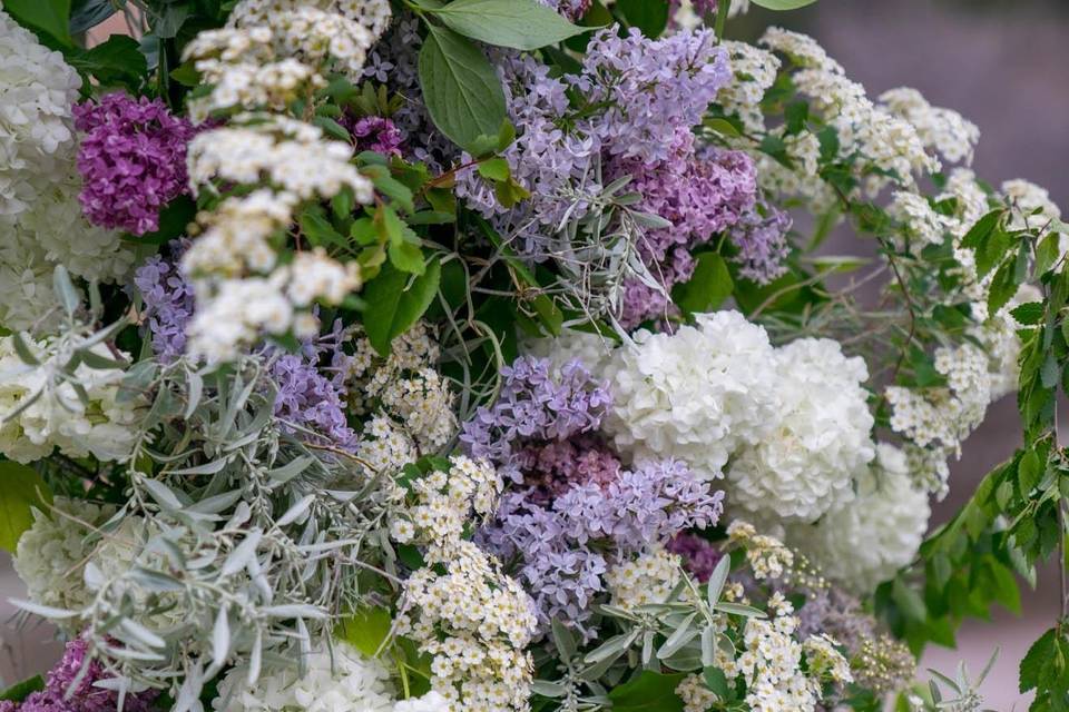 Floral up-close