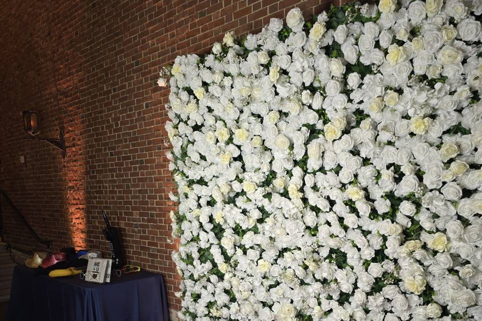 4D Rose Backdrop