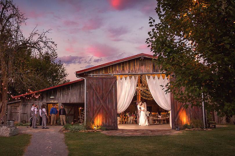 High Point Farms First Dance