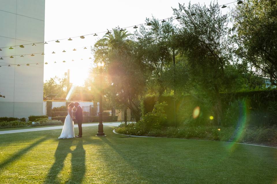Wedding Lawn