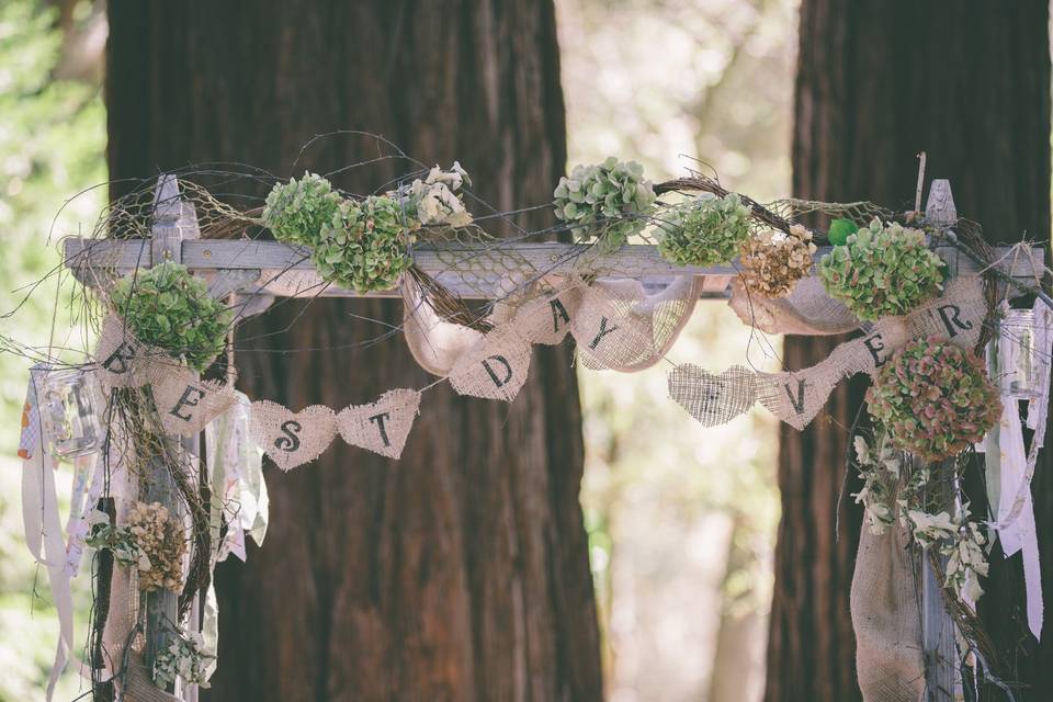 Vanessa Shaushkin lifestyle photographer