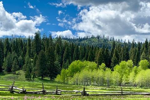 Longhorn Guest Ranch