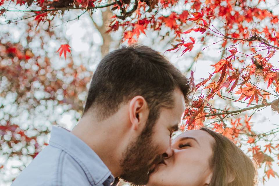 A kiss under a tree