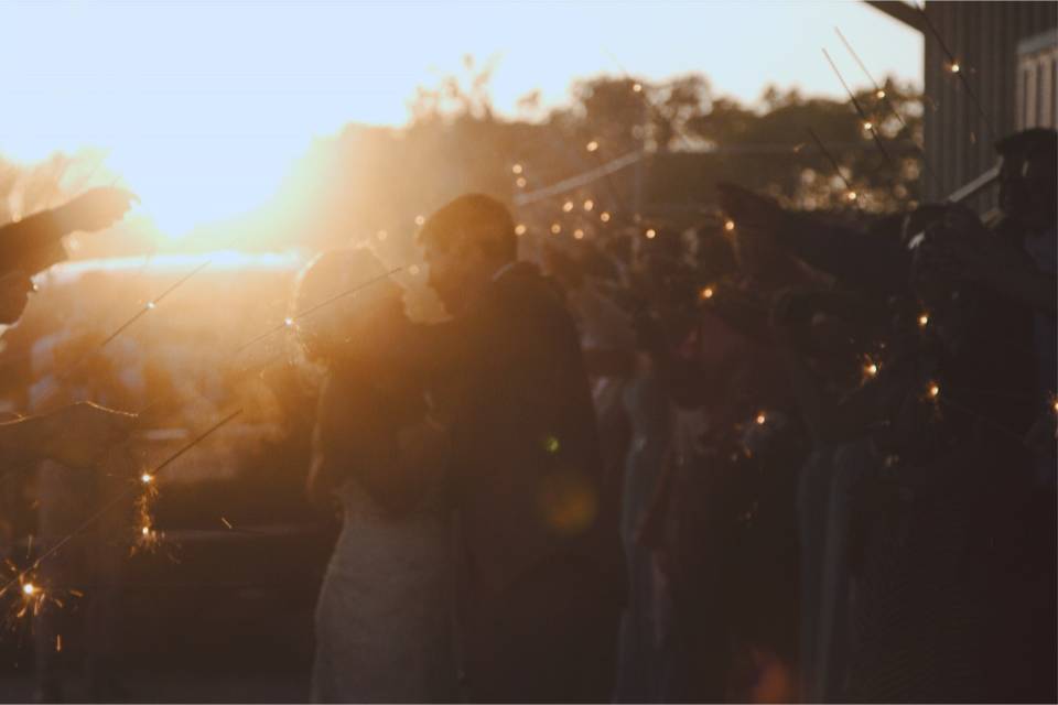 Owl & Tree Wedding Films