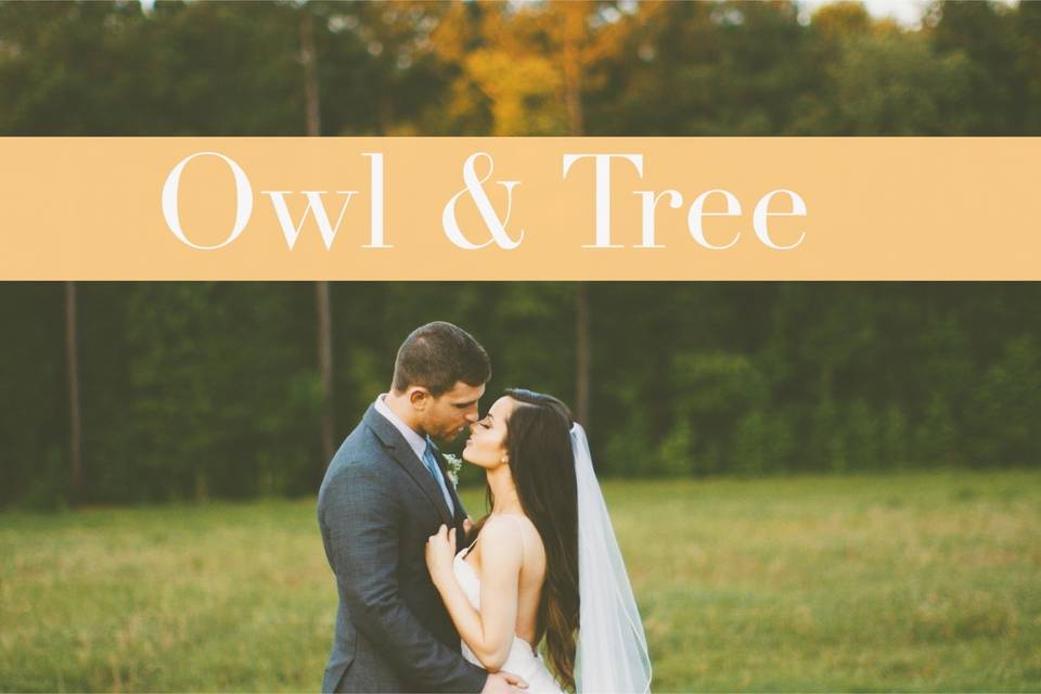 Owl & Tree Wedding Films