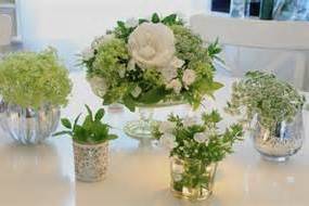 Brandywine Floral Design