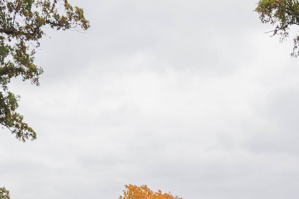 Outdoor Ceremony