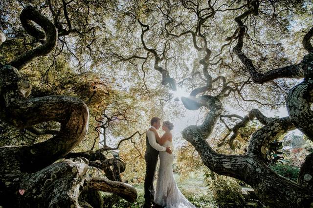 Maccarini Photography