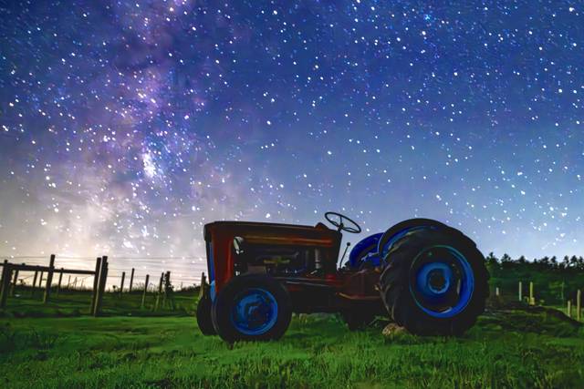 Get married under the stars