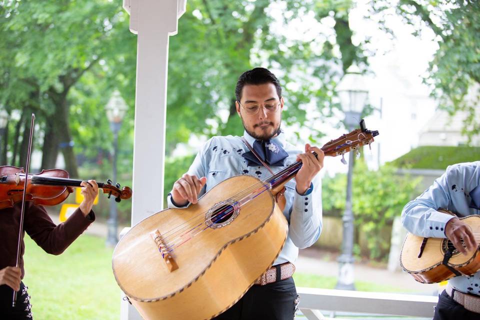 The guitarron