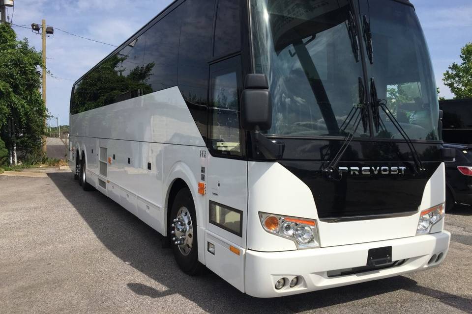 55Passengers VIP Coach Bus