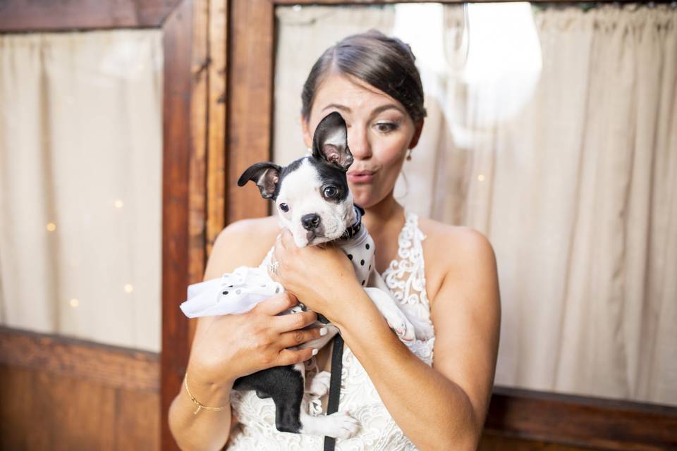 Always bring your dog!