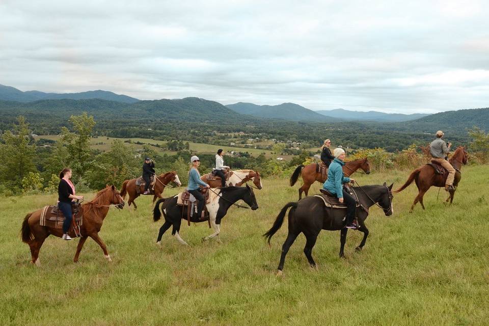 Cville Tours