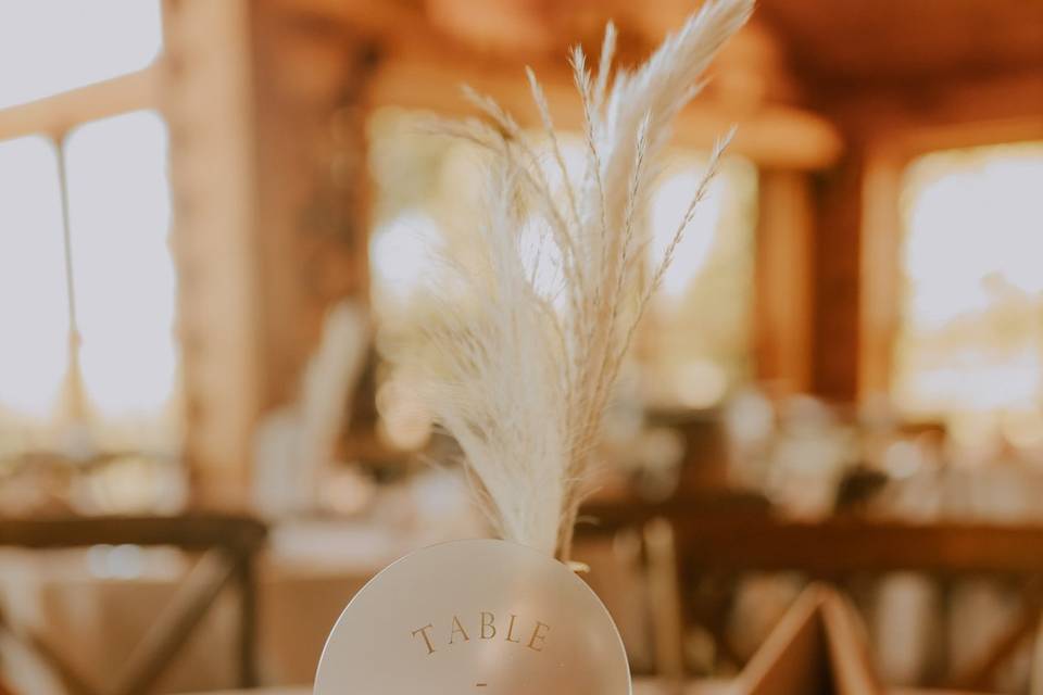 Maegan Marie Photography