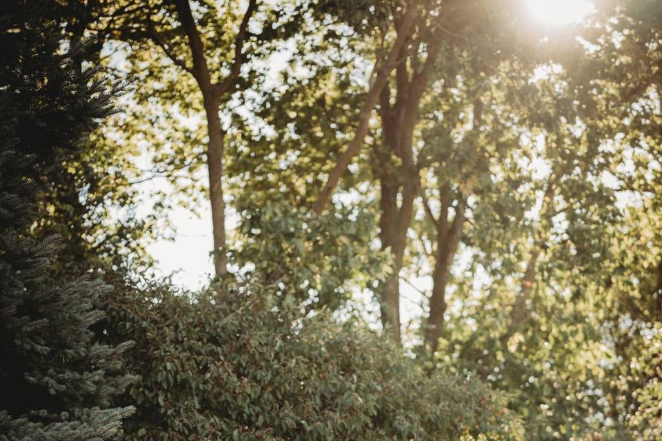Carley Anne Photography