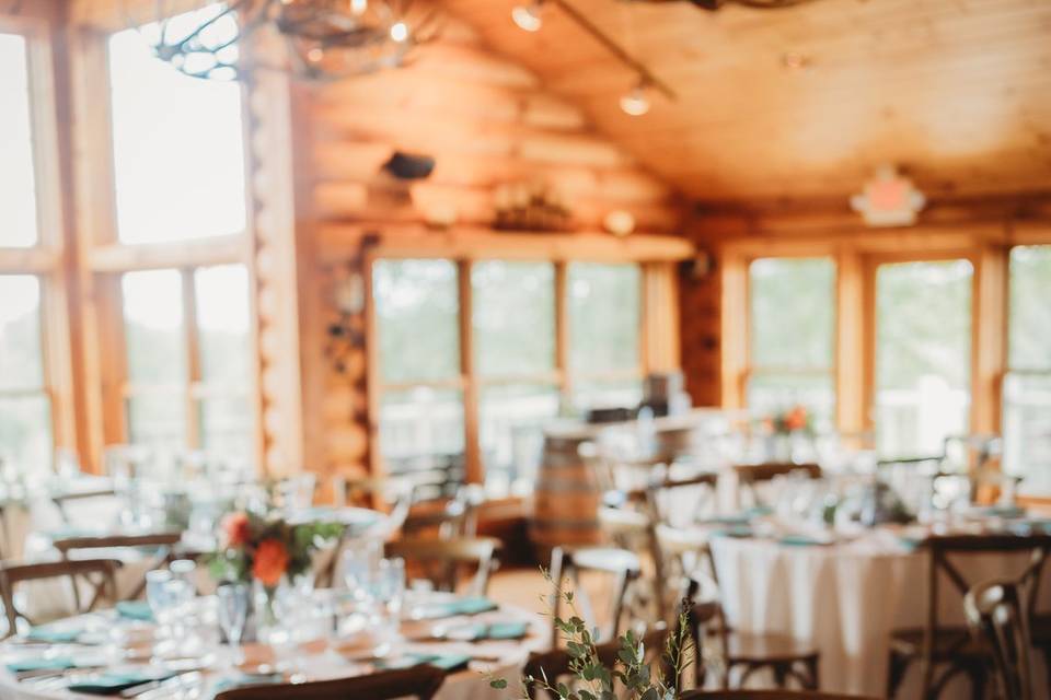 Carley Anne Photography