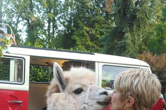 Wedding officiant