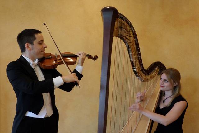 Tyler Hartley Atlanta Harpist