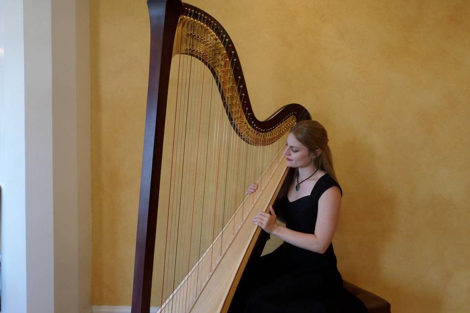 With the harp