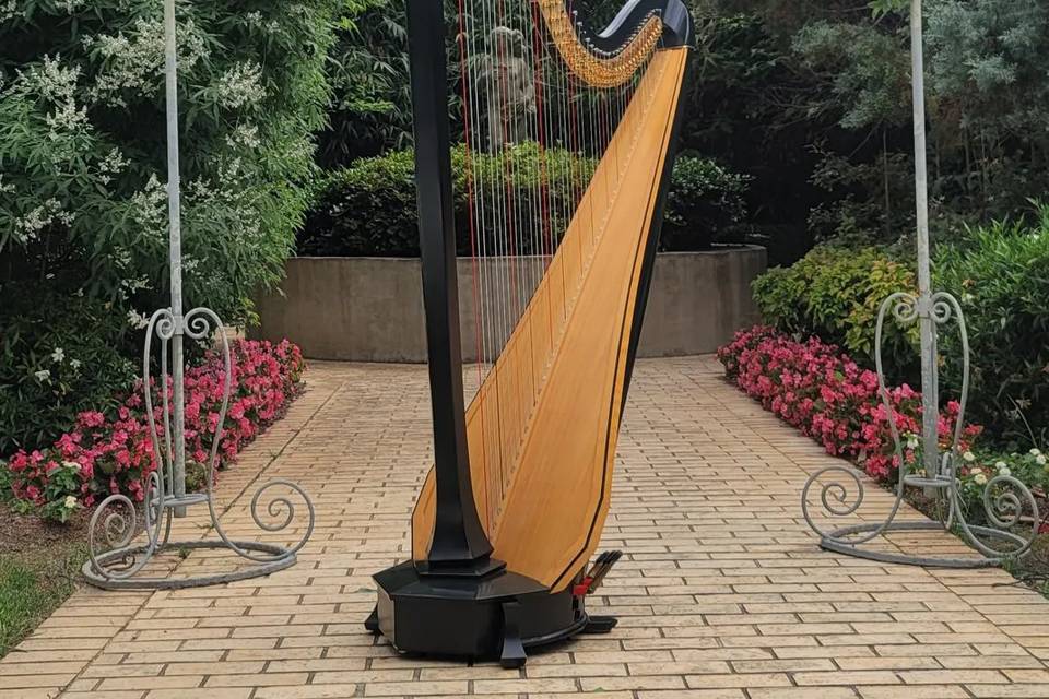 Harp Feature