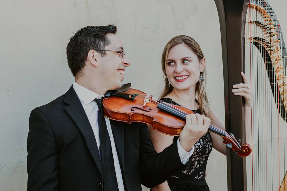 Harp and Violin Duo