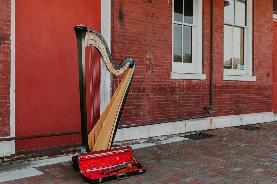 Harp and violin