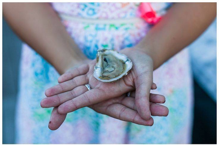 The Oyster Farm at King's Creek