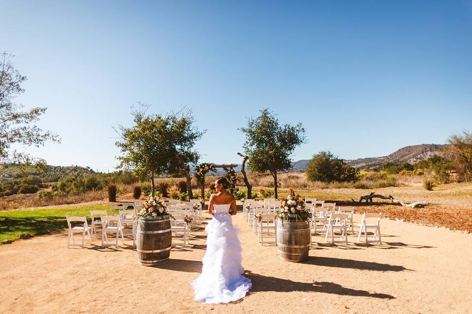 Wine Barrels & Arbor Included