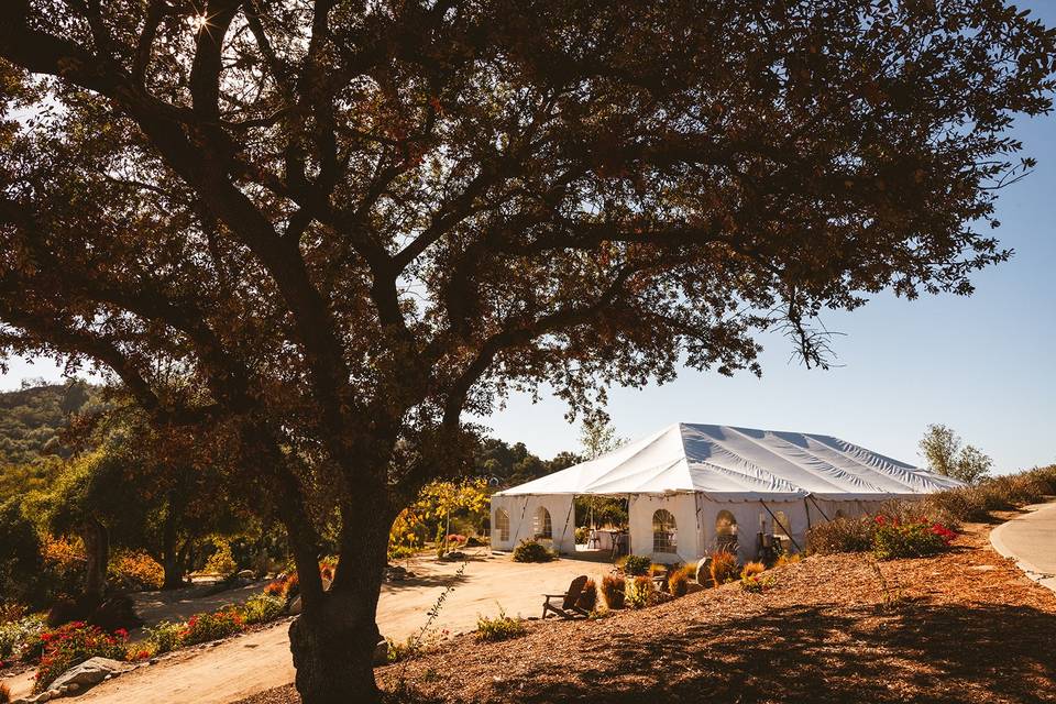 The Oak Terrace Tent