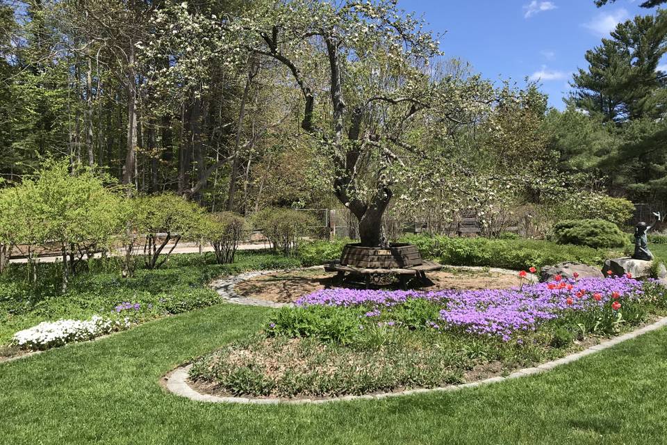Kirkwood Garden-Spring