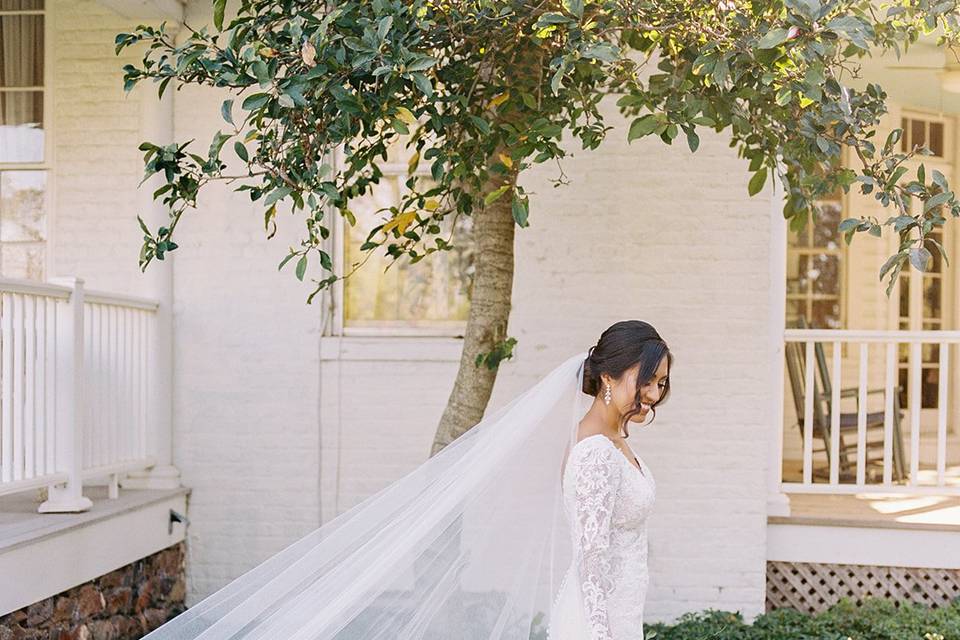 Bride with Veil