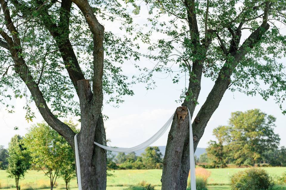 Outdoor Ceremony Site