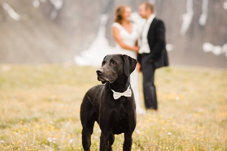 Rocky Mountain Wedding