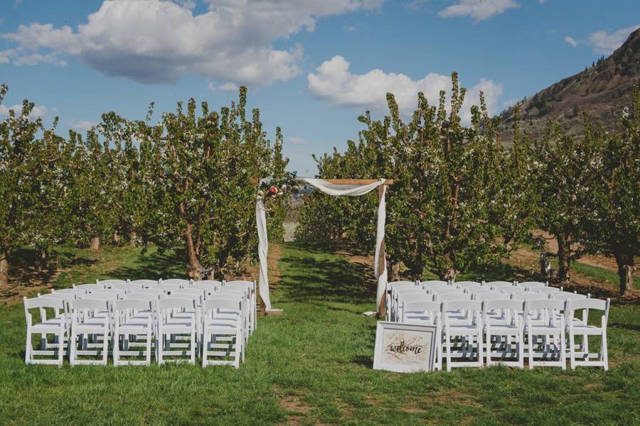 Orchard Wedding Ceremony