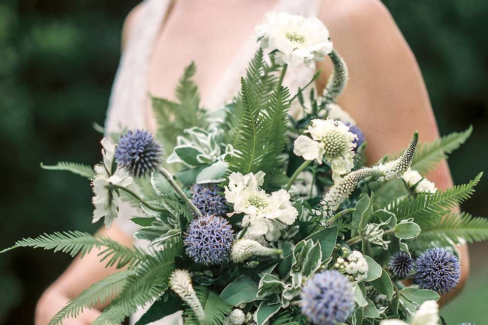 Succulents & Saffron