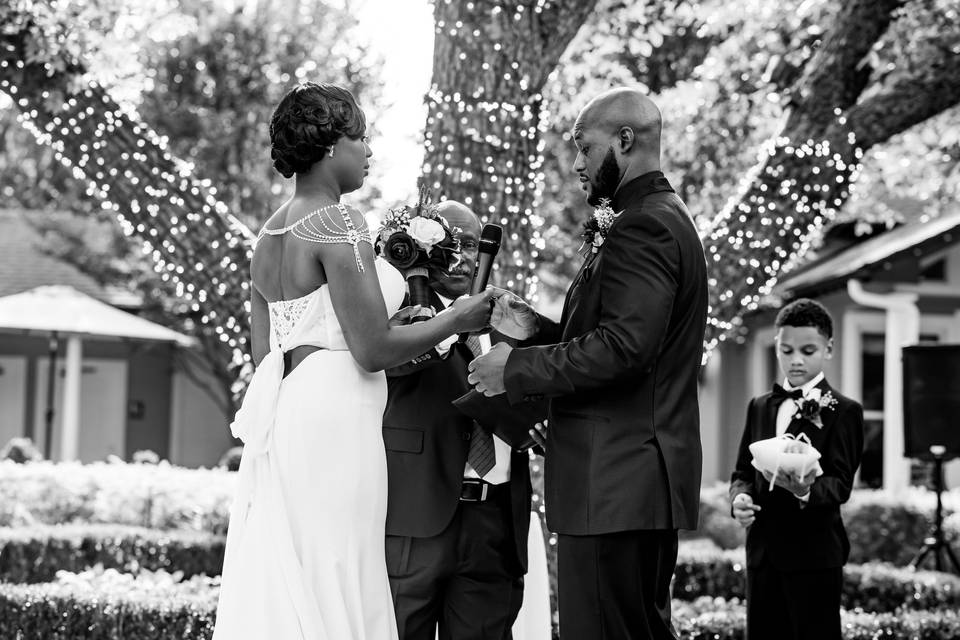 Elegant Outdoor Wedding