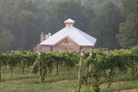 Elkin Creek Vineyard