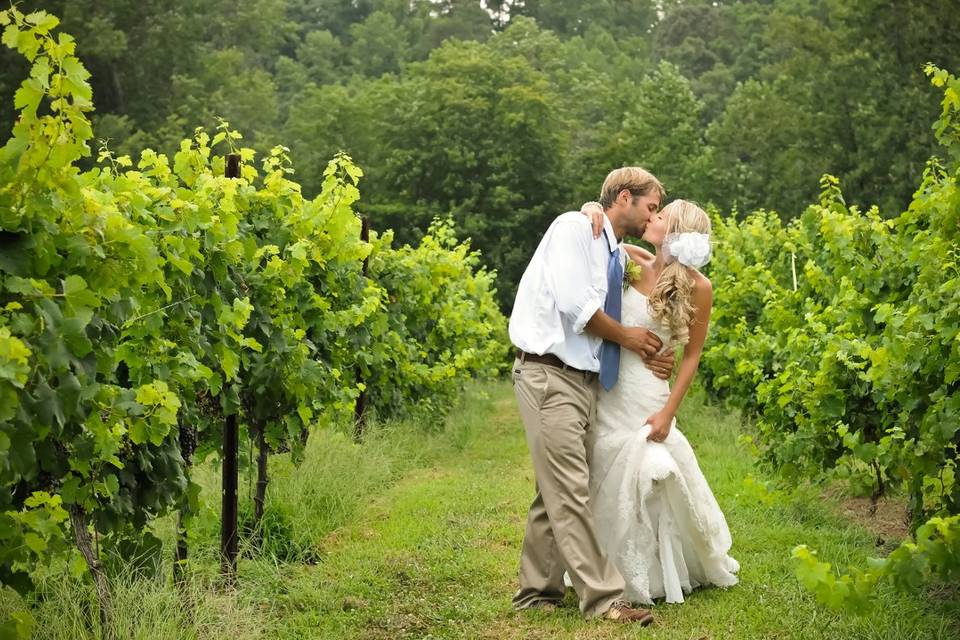 Elkin Creek Vineyard