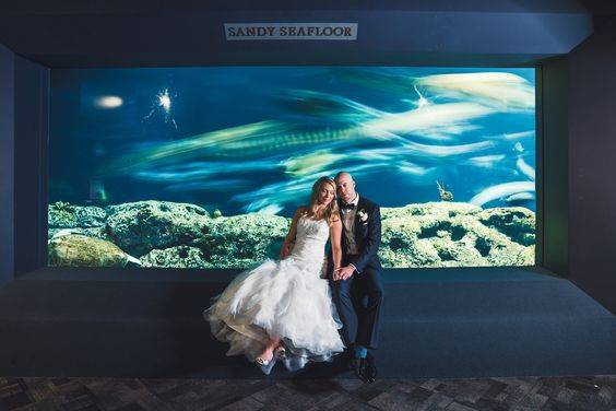 South Carolina Aquarium