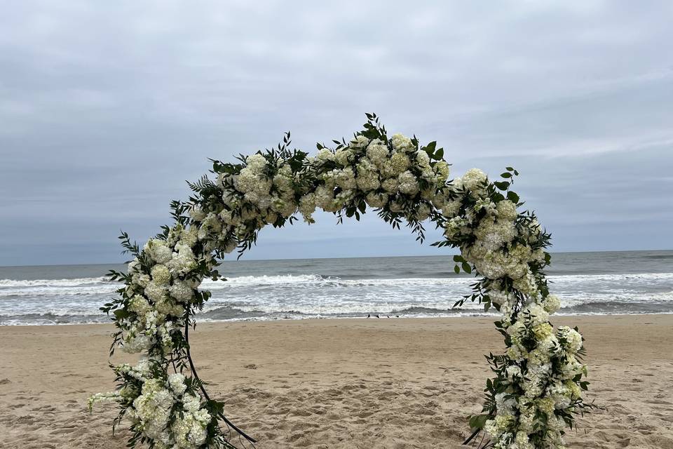 East Beach Flowers