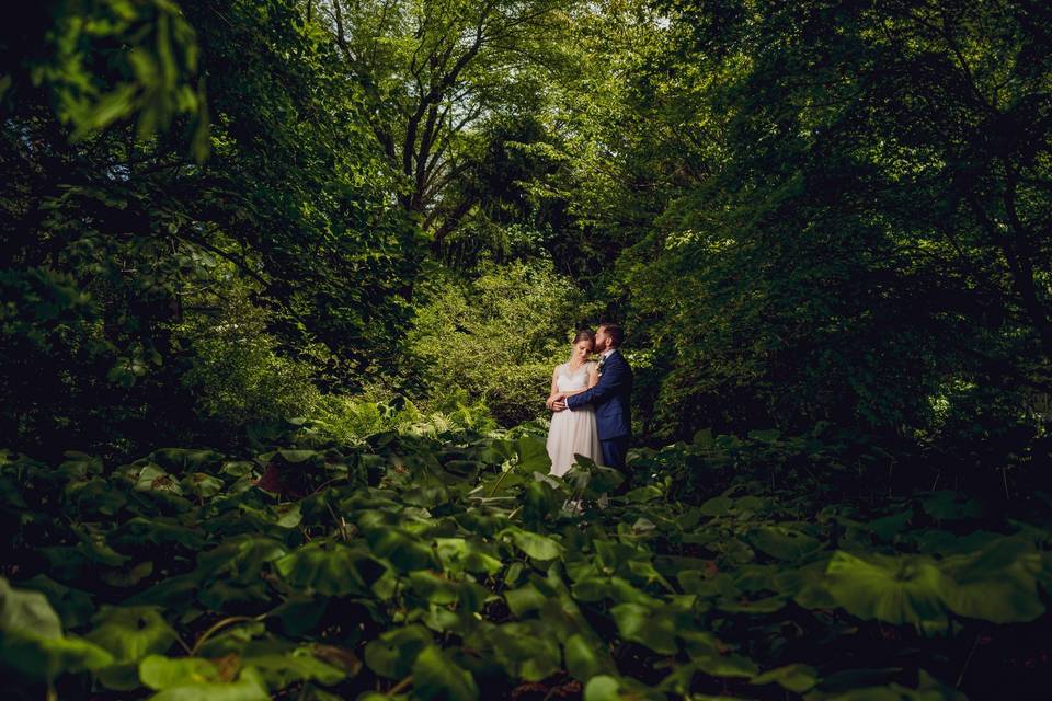 Willowood Arboretum