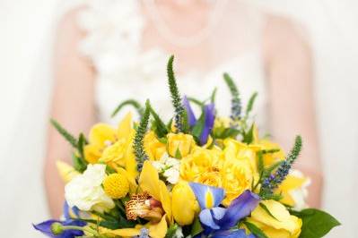 Lynn Daly Photography