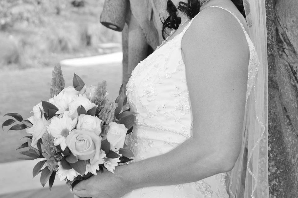Lilypad Originals Photography