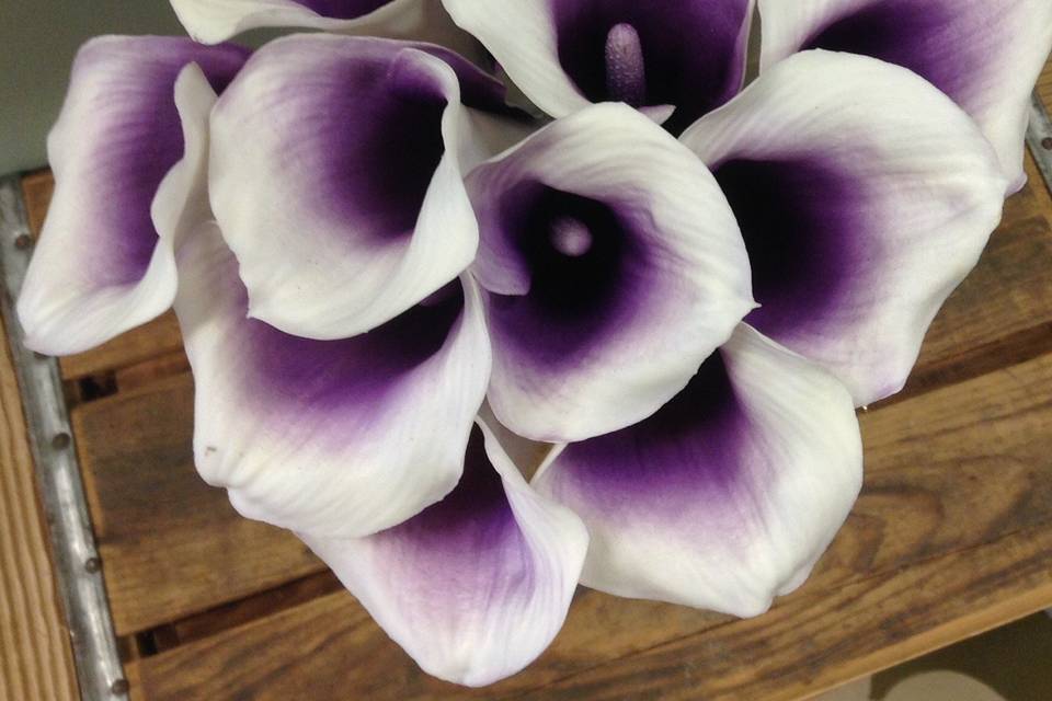 Silk calla lilies