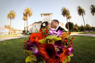 Hayes Mansion San Jose, Curio Collection by Hilton